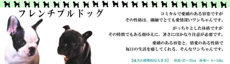 �t�����`�u���h�b�O