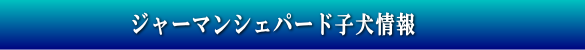 �W���[�}���V�F�p�[�h�q���̔����