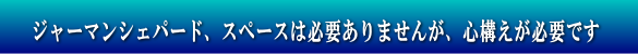 �W���[�}���V�F�p�[�h�@�X�y�[�X�͕K�v����܂��񂪁A�S�\�����K�v�ł�