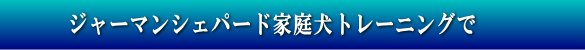 �W���[�}���V�F�p�[�h�ƒ댢�g���[�j���O��