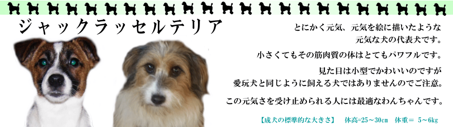 �W���b�N���b�Z���e���A