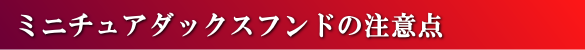ミニチュアダックスフンドの注意点