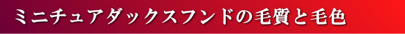 �~�j�`���A�_�b�N�X�t���h�̖ю��ƖѐF