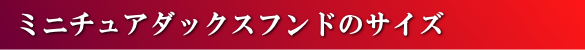 �~�j�`���A�_�b�N�X�t���h�̃T�C�Y