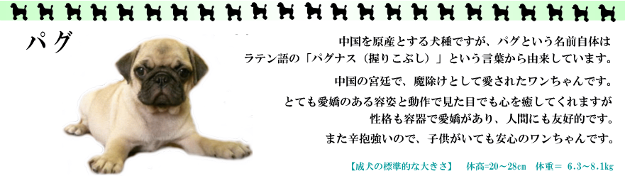 �p�O