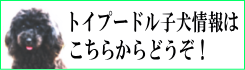 �g�C�v�[�h���q�����ւ̃����N�ł��B